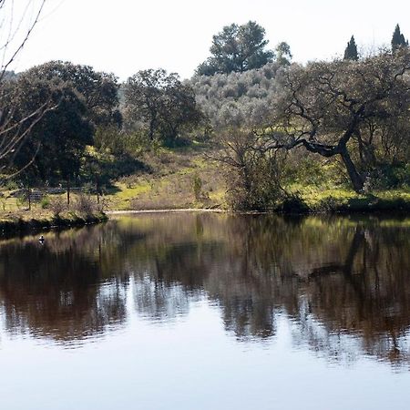 فيلا Casa Cortijo En Dehesa Sierra Leon لا بويبلا دي لوس إينفانتيس المظهر الخارجي الصورة
