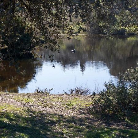 فيلا Casa Cortijo En Dehesa Sierra Leon لا بويبلا دي لوس إينفانتيس المظهر الخارجي الصورة