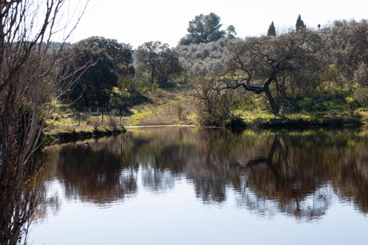 فيلا Casa Cortijo En Dehesa Sierra Leon لا بويبلا دي لوس إينفانتيس المظهر الخارجي الصورة