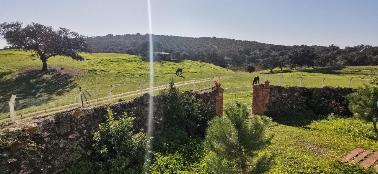 فيلا Casa Cortijo En Dehesa Sierra Leon لا بويبلا دي لوس إينفانتيس المظهر الخارجي الصورة