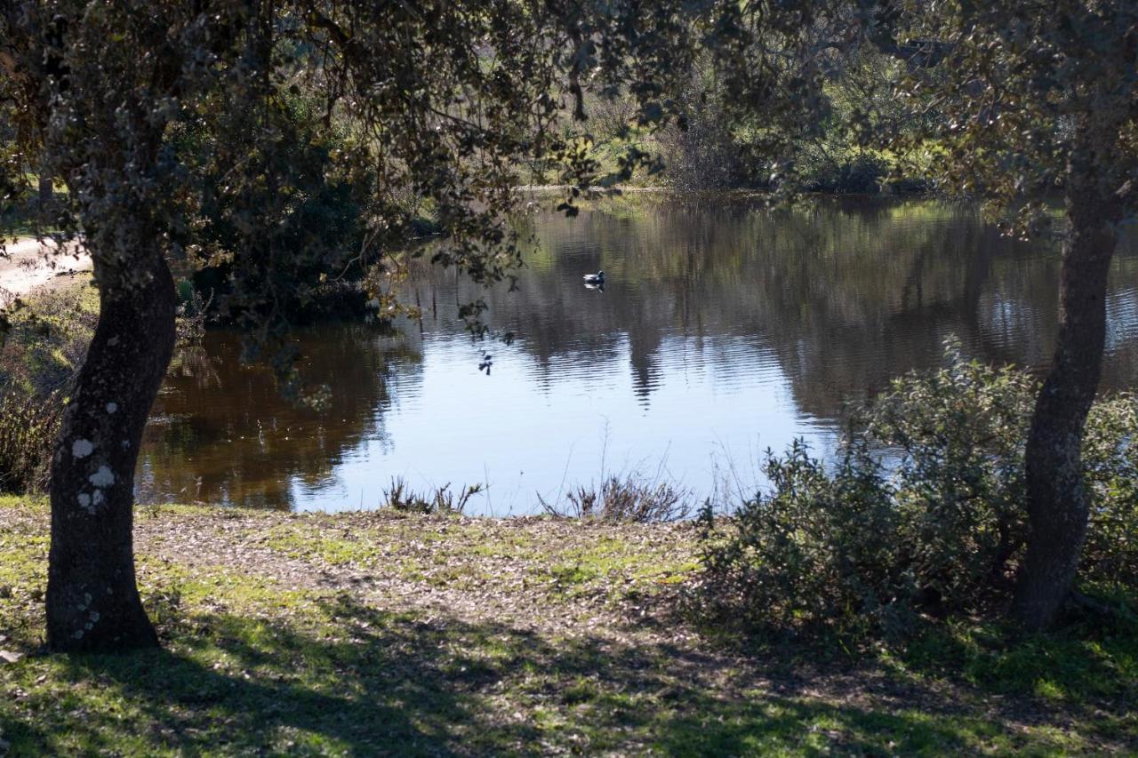 فيلا Casa Cortijo En Dehesa Sierra Leon لا بويبلا دي لوس إينفانتيس المظهر الخارجي الصورة